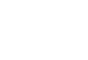 신보 NEST